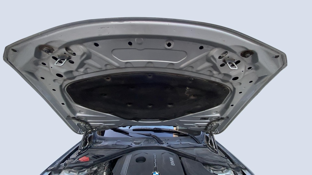 CAR HOOD