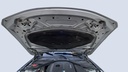 CAR HOOD