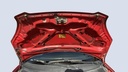 CAR HOOD