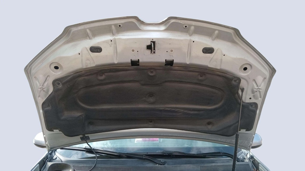 CAR HOOD