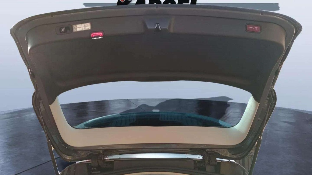 TRUNK HOOD
