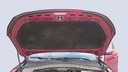 CAR HOOD