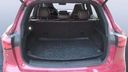 TRUNK