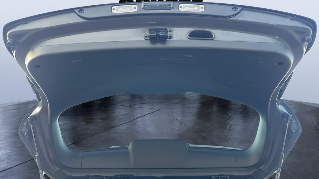 TRUNK HOOD