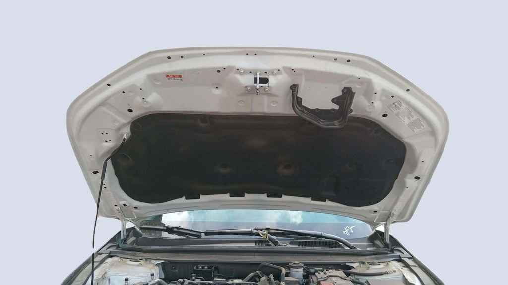 CAR HOOD
