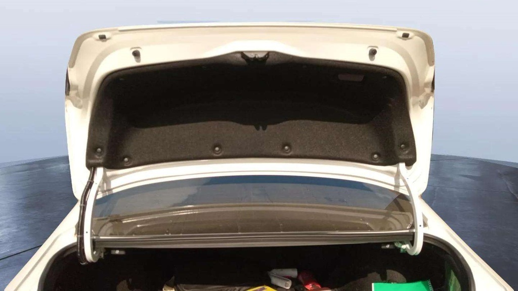 TRUNK HOOD