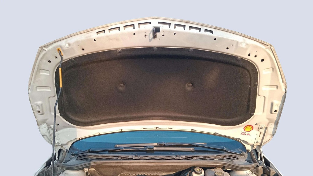 CAR HOOD