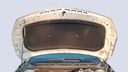 CAR HOOD