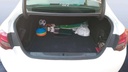 TRUNK
