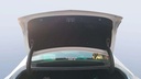 TRUNK HOOD