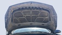 CAR HOOD