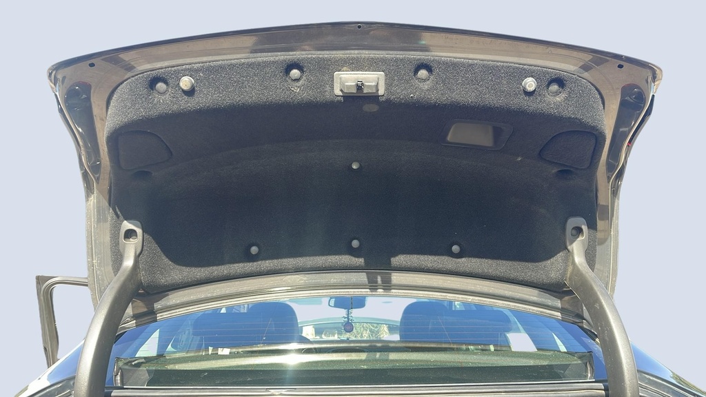 TRUNK HOOD