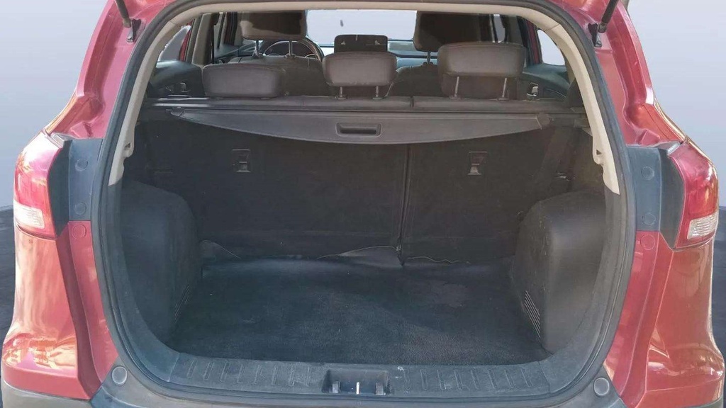 TRUNK