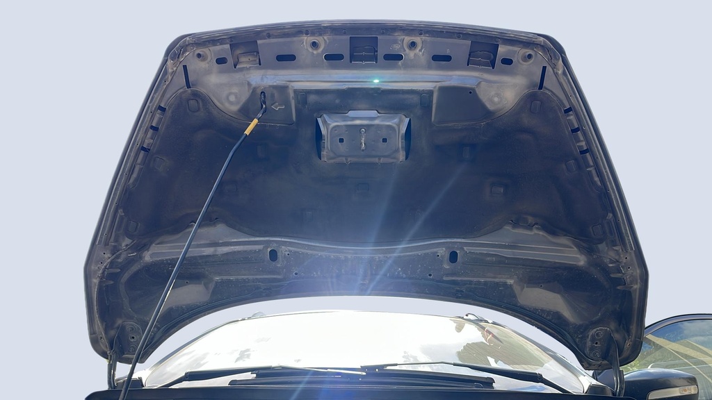 CAR HOOD