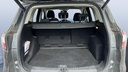 TRUNK
