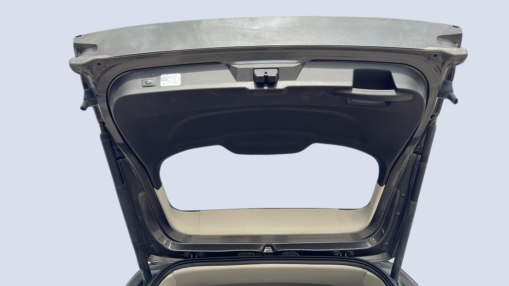 TRUNK HOOD
