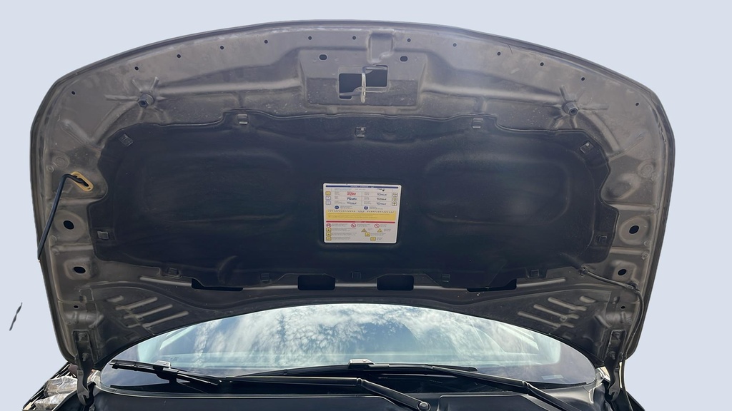 CAR HOOD