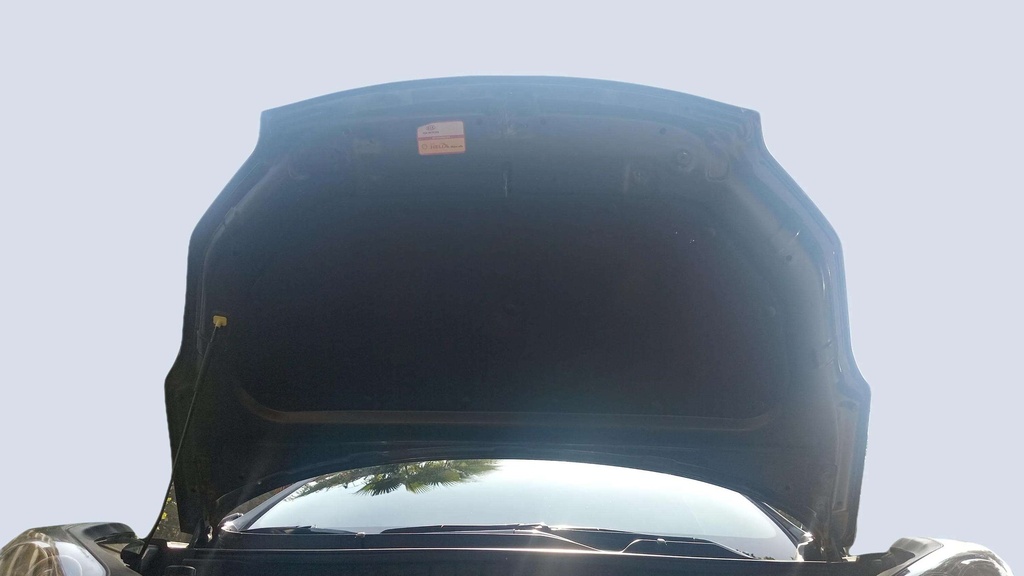 CAR HOOD