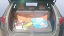 TRUNK