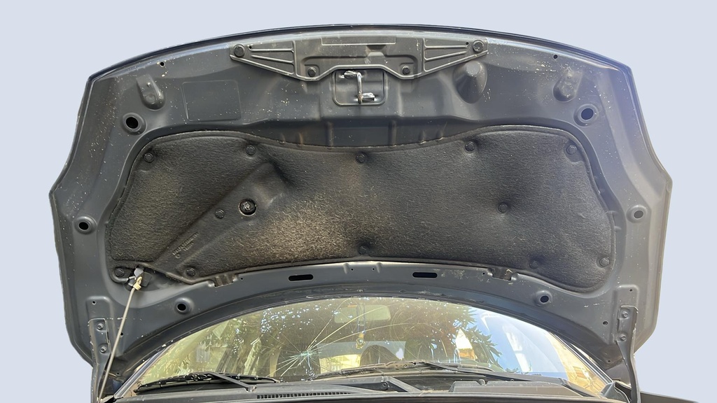 CAR HOOD