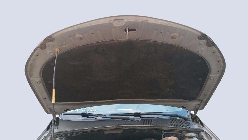 CAR HOOD