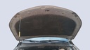CAR HOOD