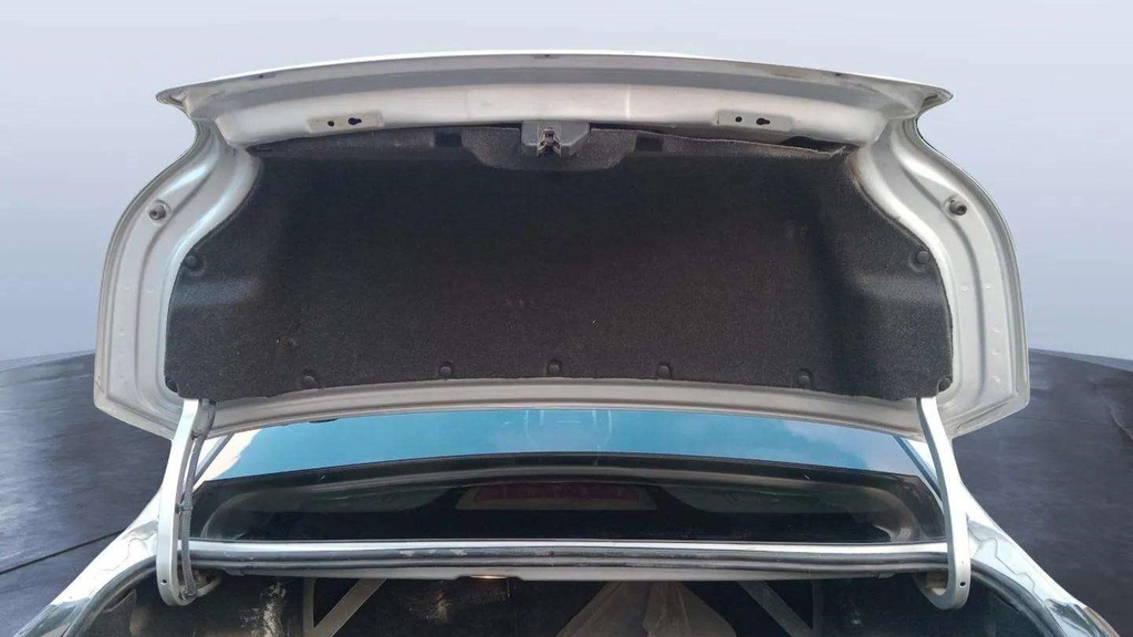 TRUNK HOOD
