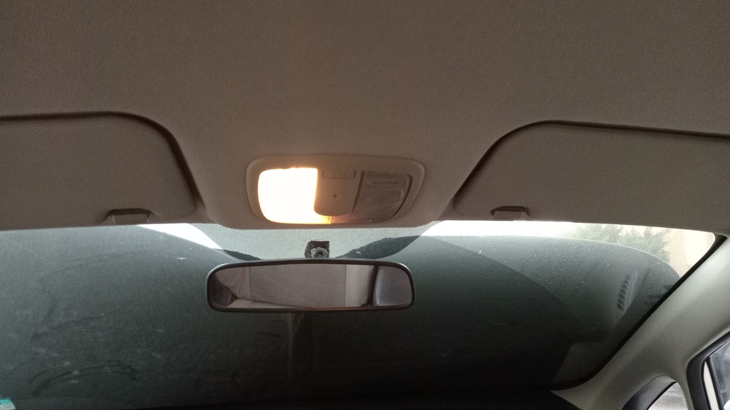 REARVIEW MIRROR