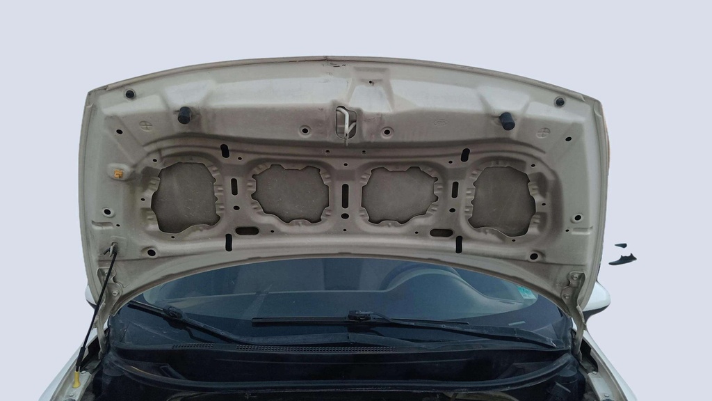 CAR HOOD