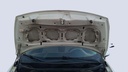 CAR HOOD