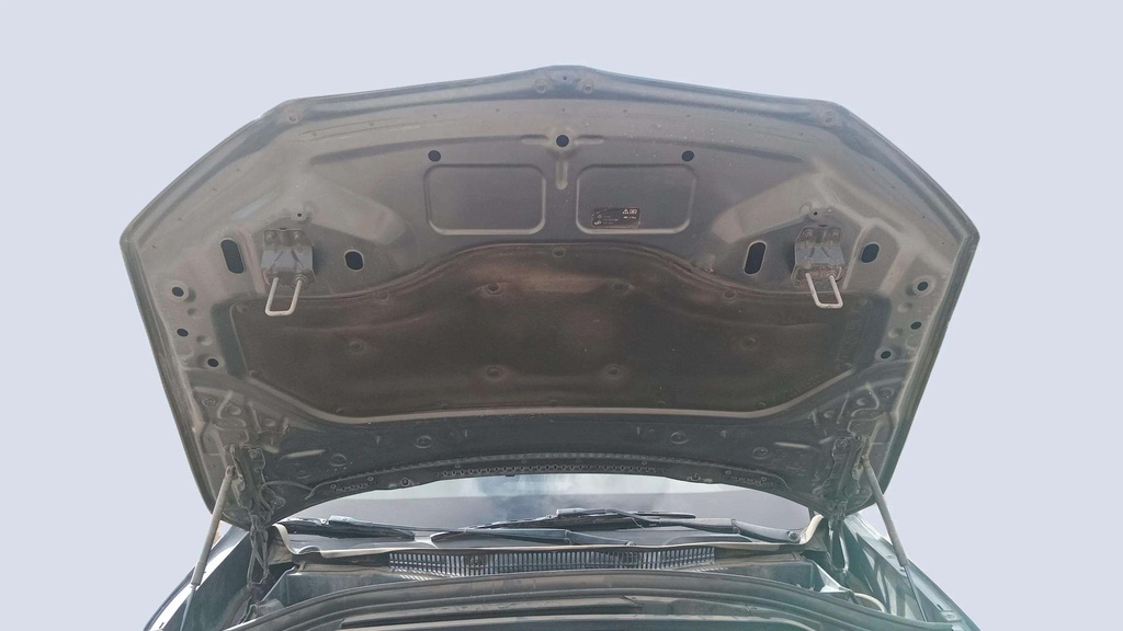 CAR HOOD