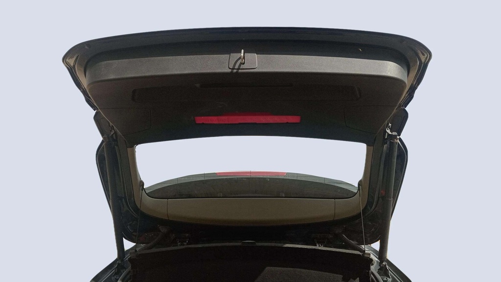 TRUNK HOOD