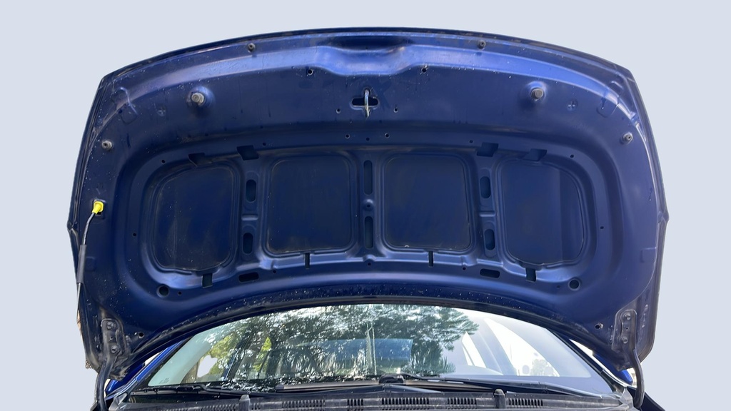 CAR HOOD