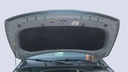 CAR HOOD