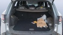 TRUNK