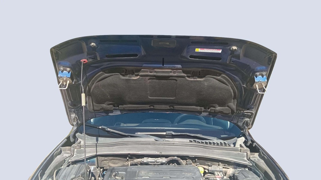 CAR HOOD