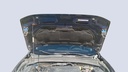 CAR HOOD