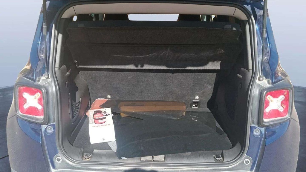 TRUNK