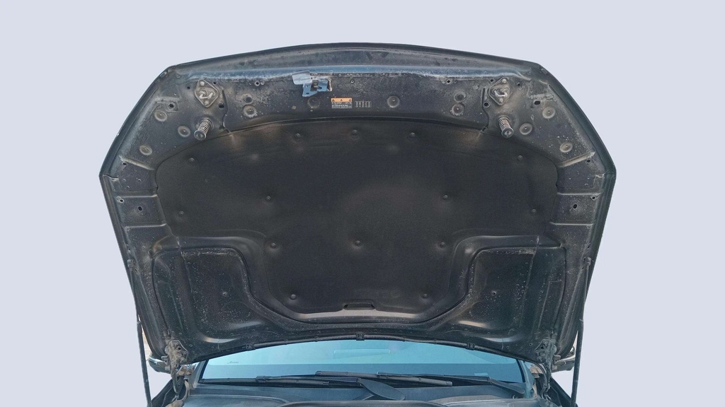 CAR HOOD
