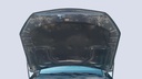 CAR HOOD