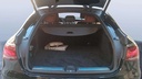 TRUNK