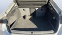 TRUNK