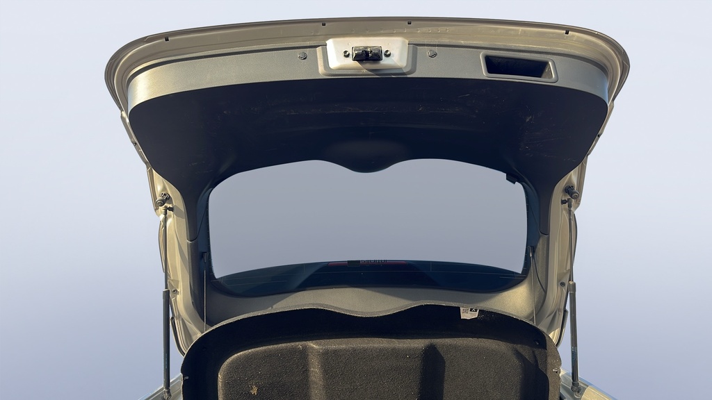 TRUNK HOOD