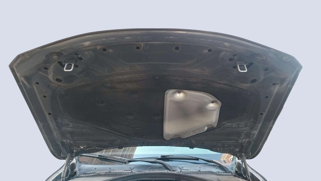 CAR HOOD
