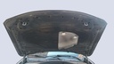 CAR HOOD