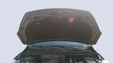 CAR HOOD