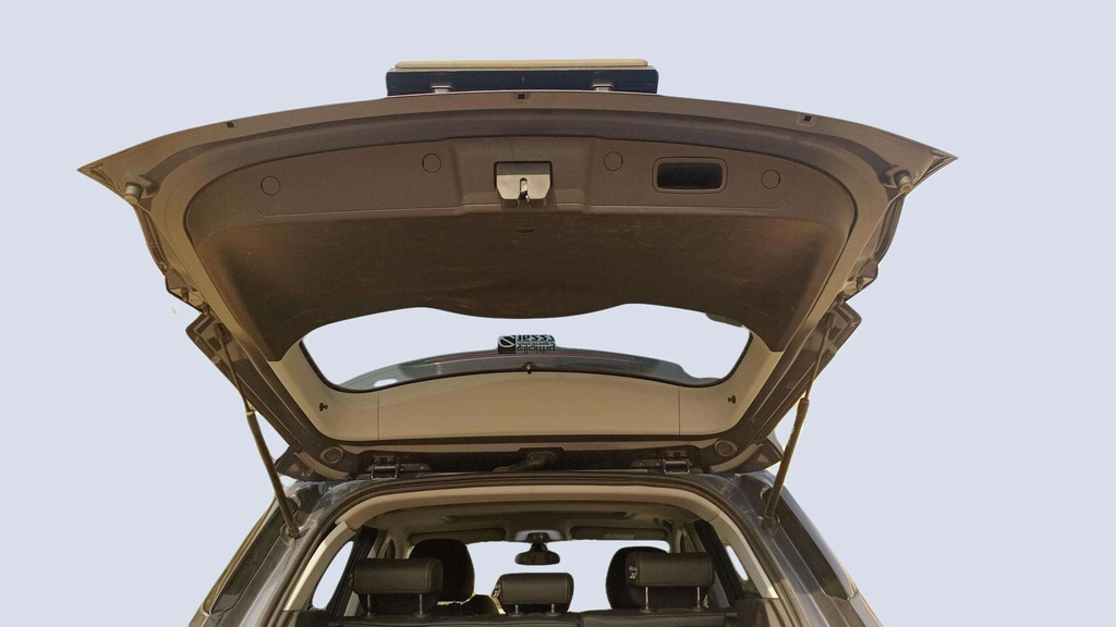 TRUNK HOOD