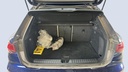 TRUNK