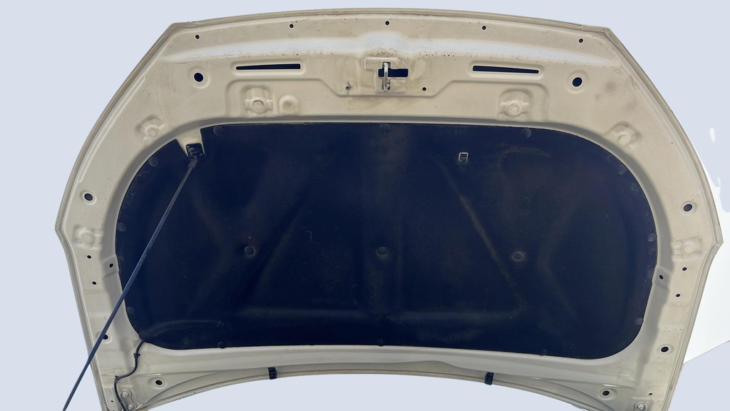 CAR HOOD