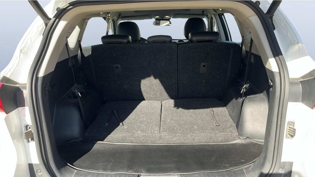 TRUNK